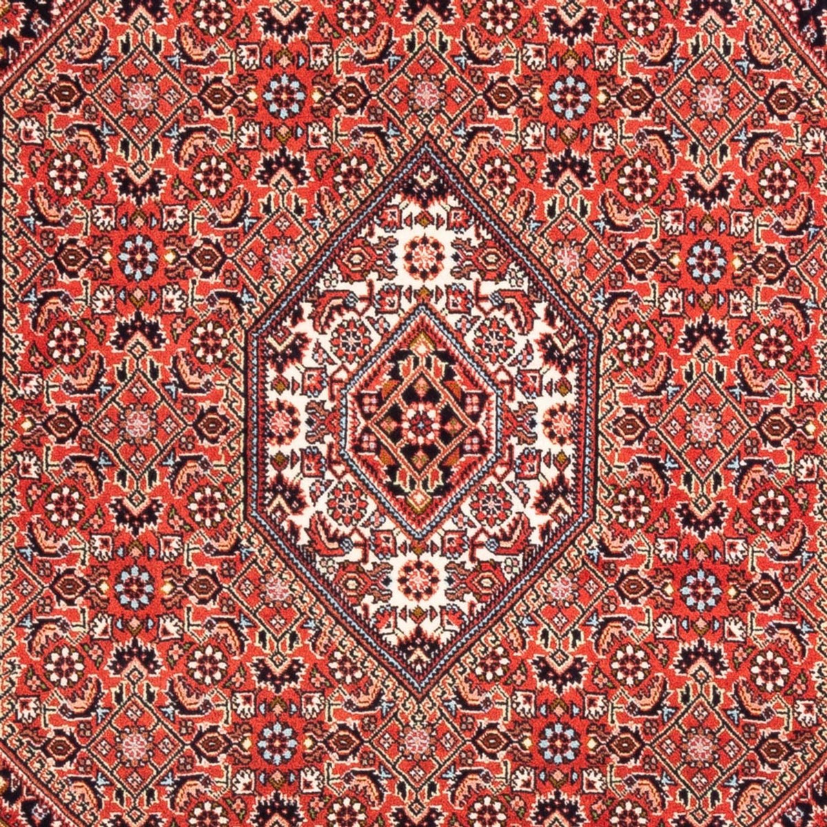 Perser Rug - Bidjar - 166 x 110 cm - red