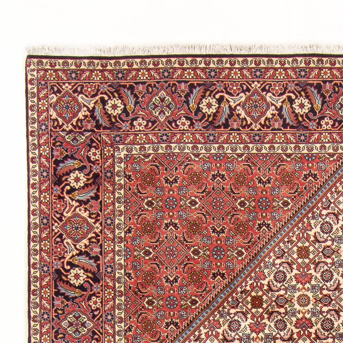 Bidjar - Bukan Rug 200x298cm - Persian Rugs