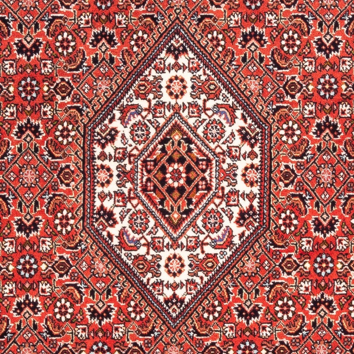 Perser Rug - Bidjar - 176 x 108 cm - red