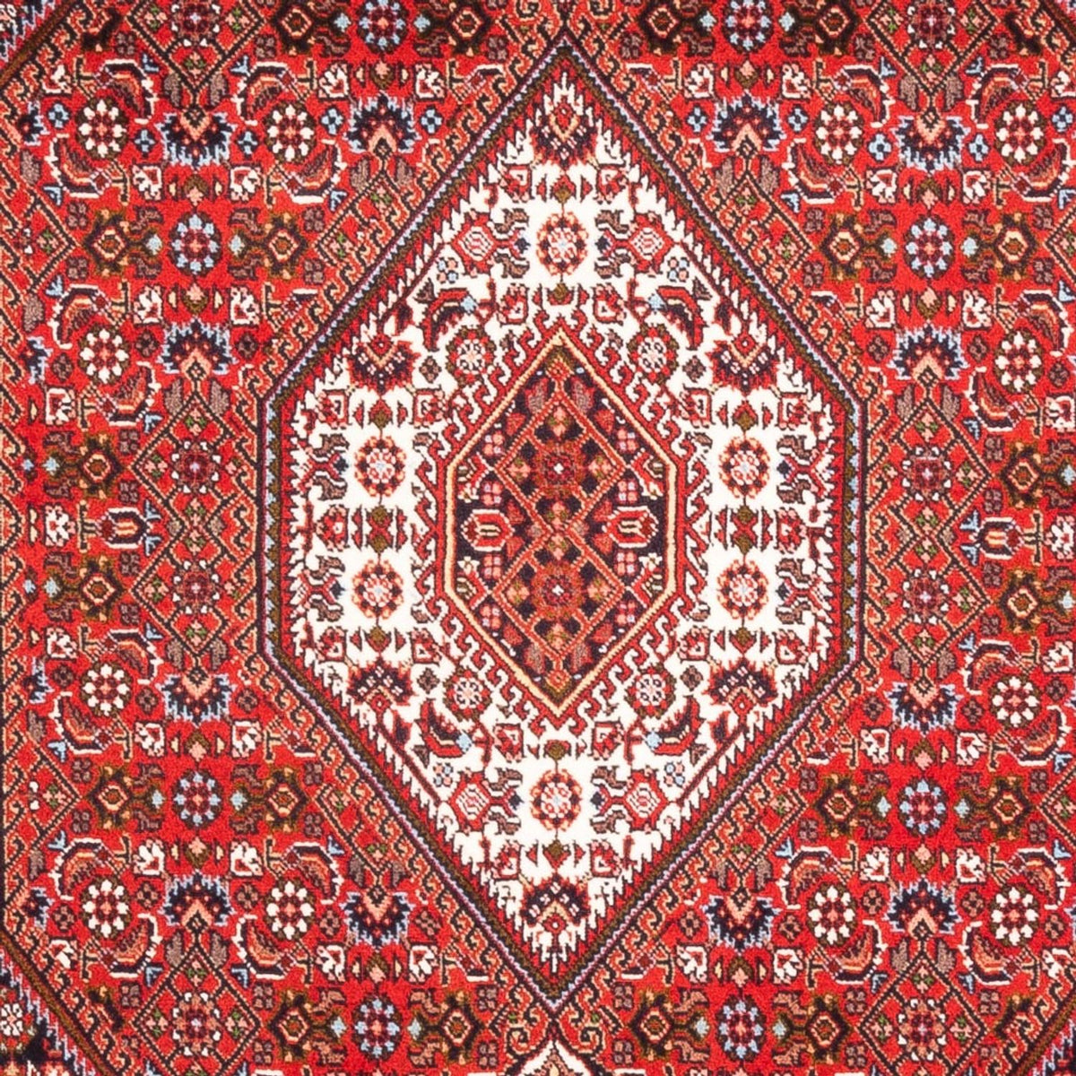 Perser Rug - Bidjar - 183 x 110 cm - red