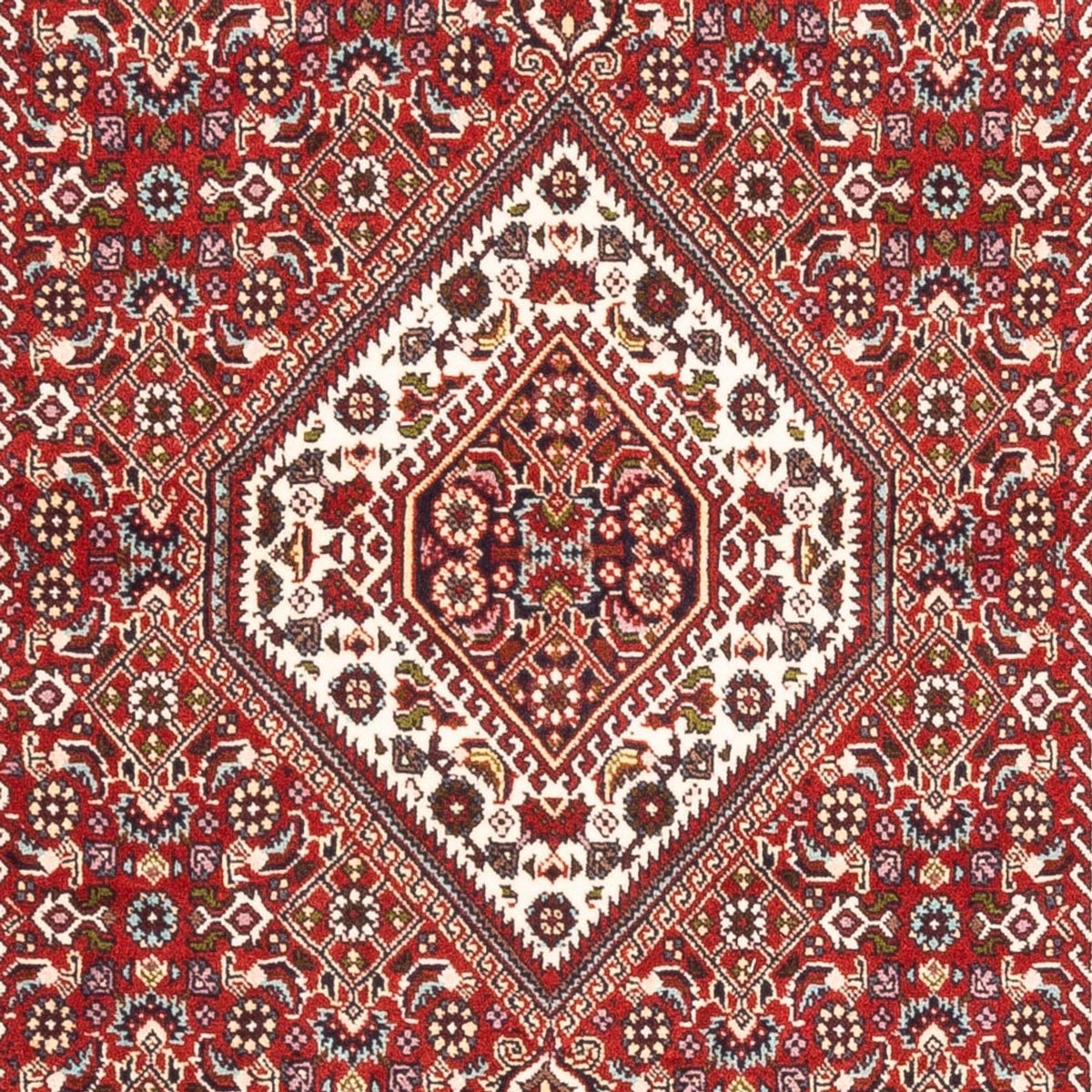 Perser Rug - Bidjar - 174 x 107 cm - red