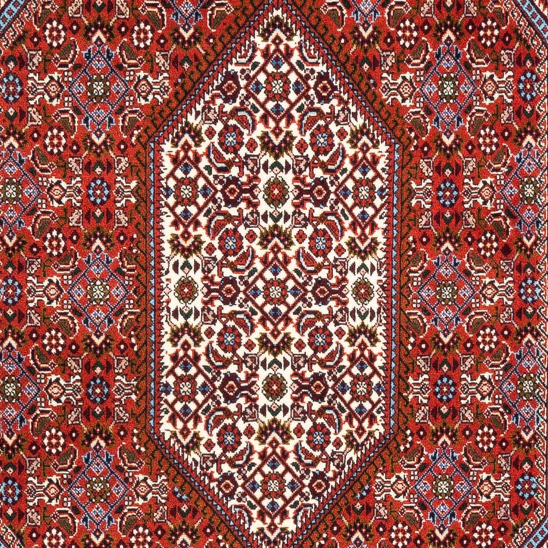Perser Rug - Bidjar - 182 x 110 cm - red