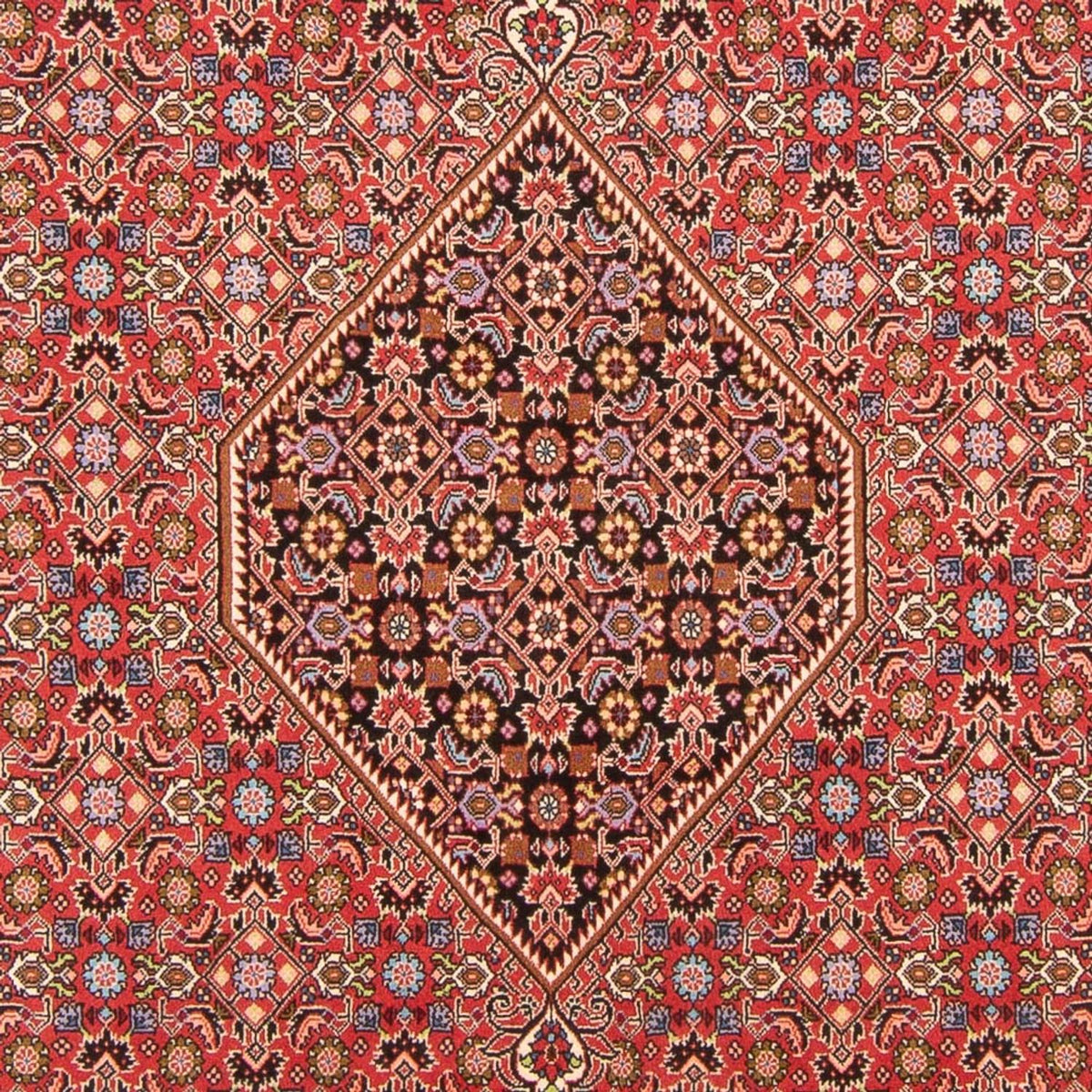 Perser Rug - Bidjar - 294 x 200 cm - red