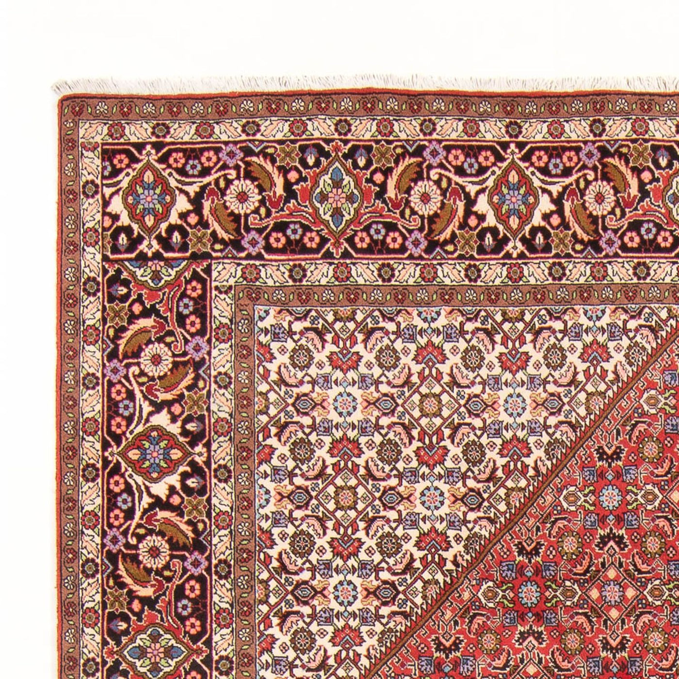 Bidjar - Bukan Teppich 294x200cm - Perserteppich