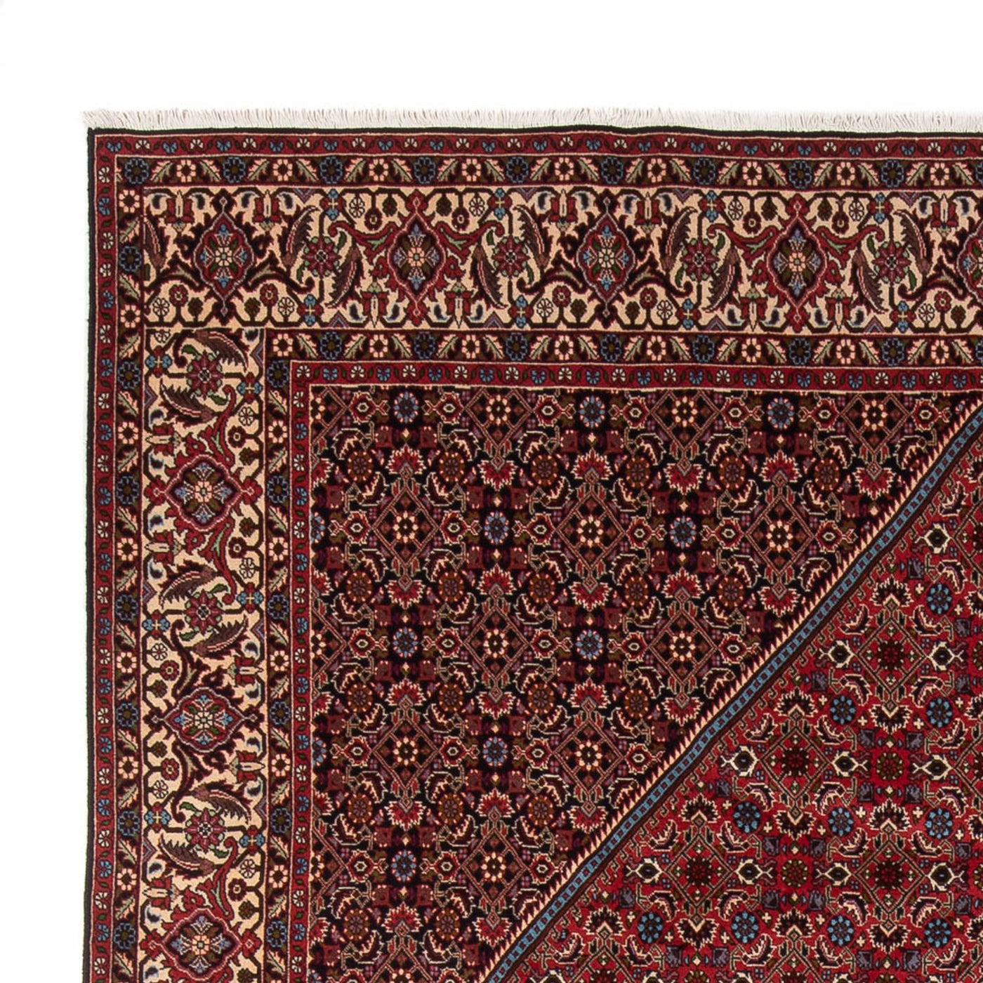 Bidjar - Bukan Rug 342x252cm - Persian Rugs