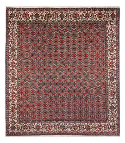 Bidjar - Bukan Rug 248x296cm - Persian Rugs