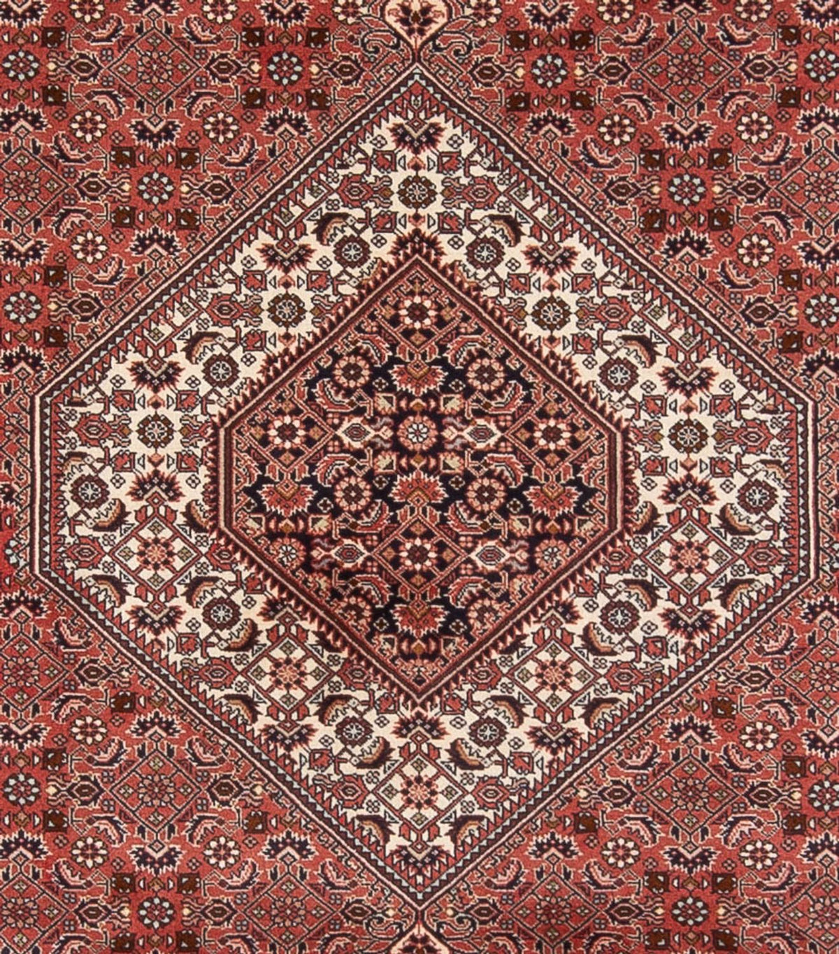 Perser Rug - Bidjar - 333 x 247 cm - dark red