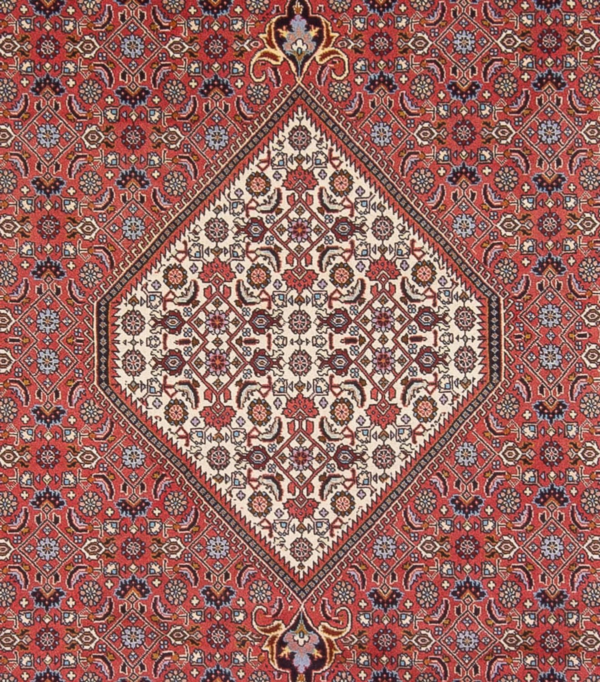 Perser Rug - Bidjar - 337 x 250 cm - dark red
