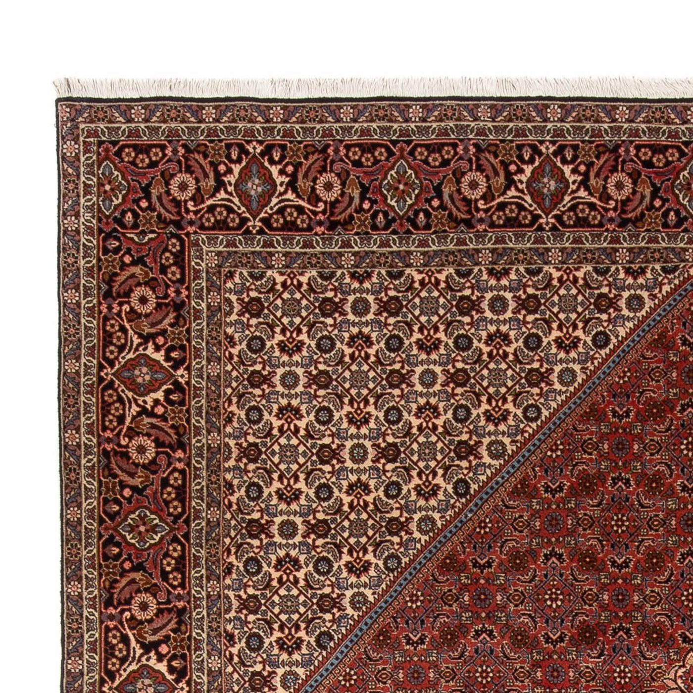 Bidjar - Bukan Rug 344x250cm - Persian Rugs