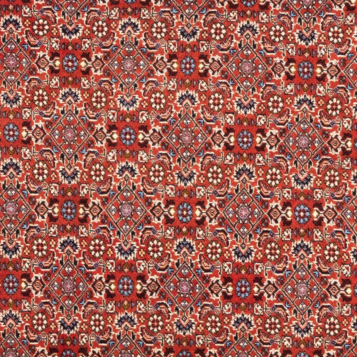 Perser Rug - Bidjar - 180 x 110 cm - red