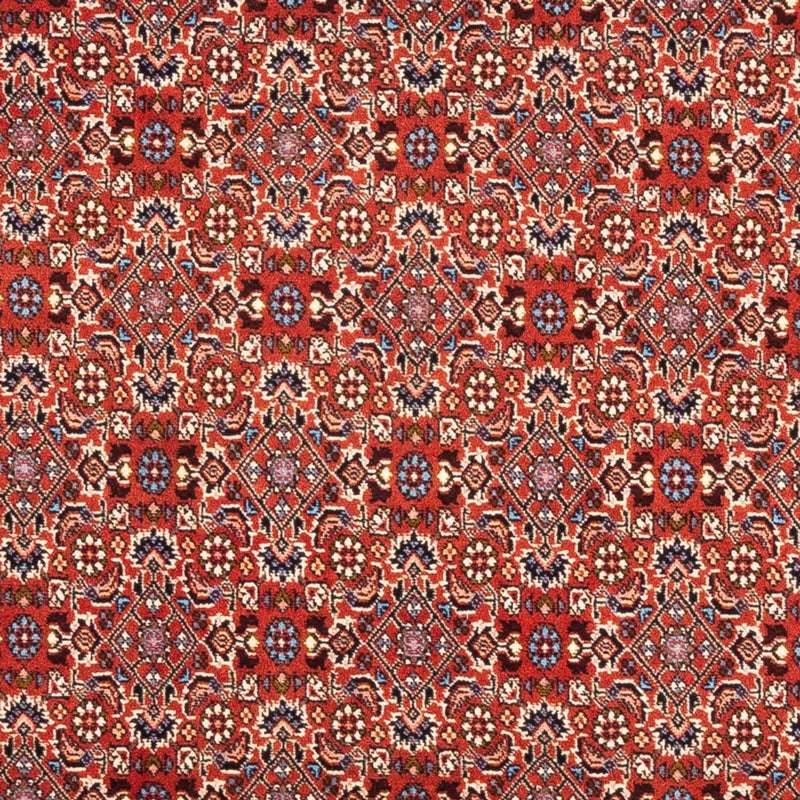 Perser Rug - Bidjar - 180 x 110 cm - red
