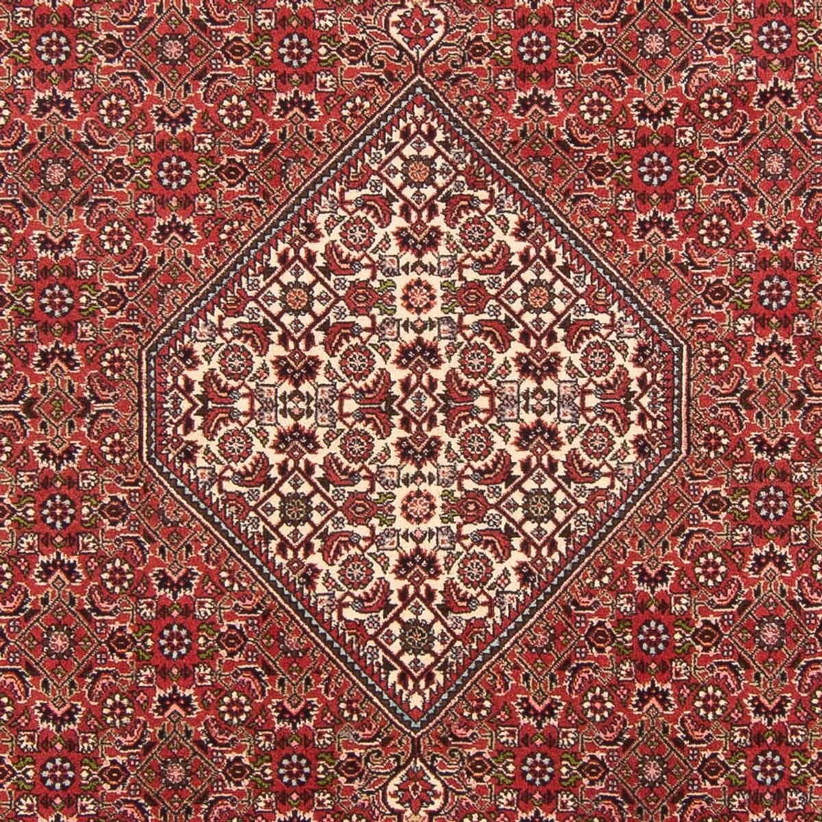 Perser Rug - Bidjar - 290 x 202 cm - red