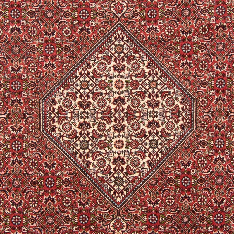 Perser Rug - Bidjar - 290 x 202 cm - red