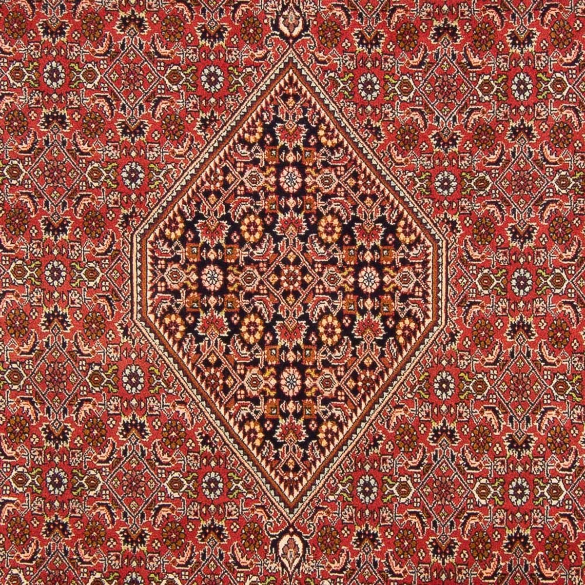 Perser Rug - Bidjar - 290 x 200 cm - red
