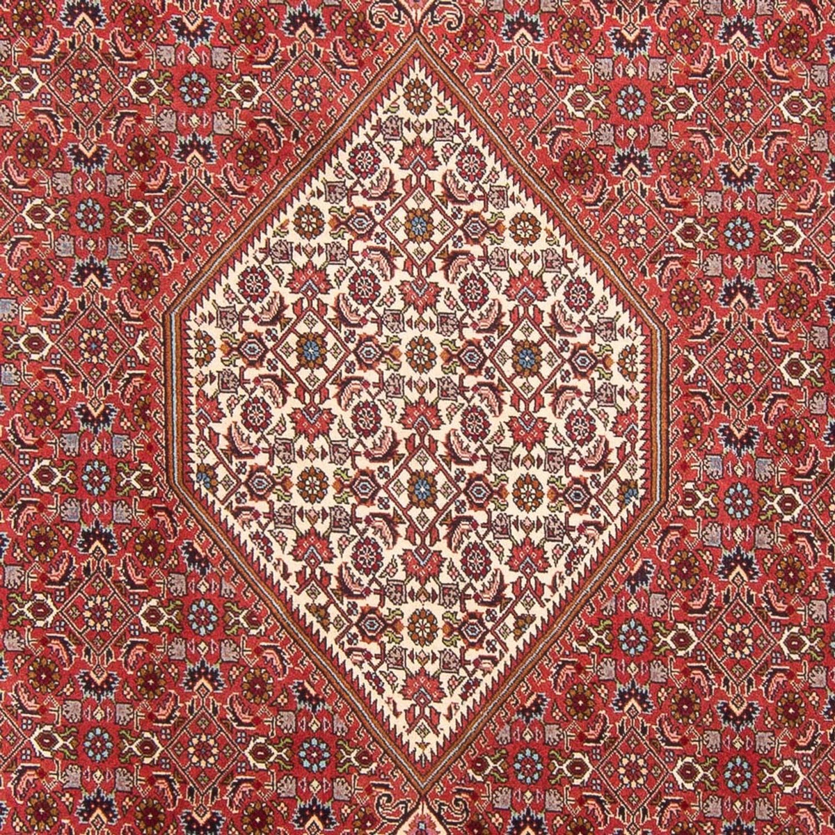 Perser Rug - Bidjar - 310 x 203 cm - red