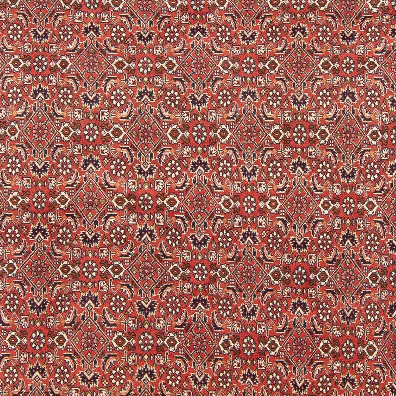 Perser Rug - Bidjar - 305 x 200 cm - red