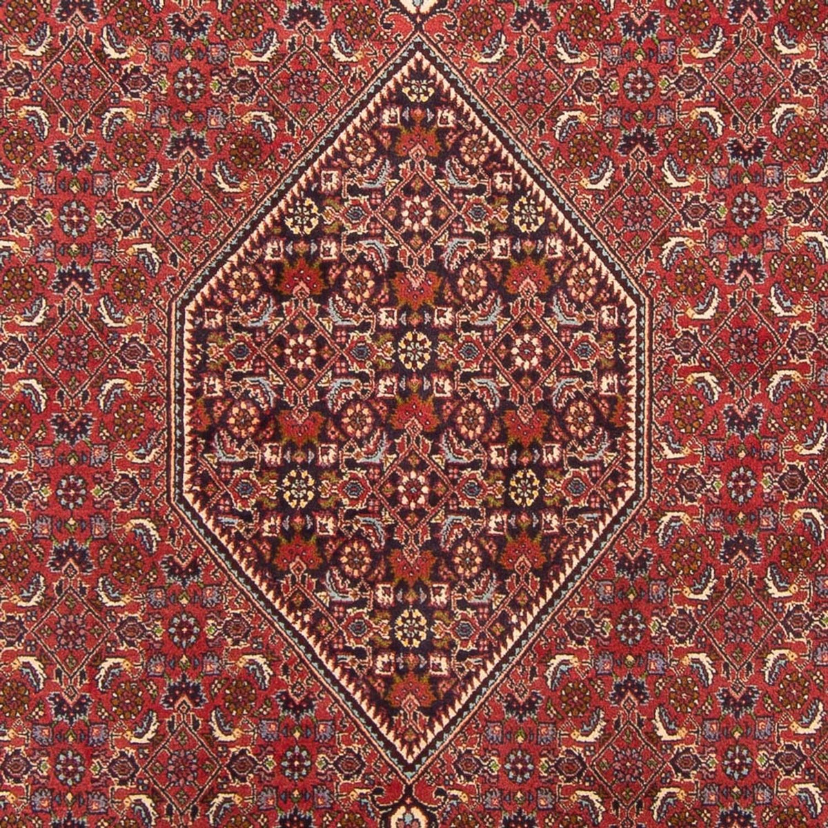 Perser Rug - Bidjar - 301 x 200 cm - red