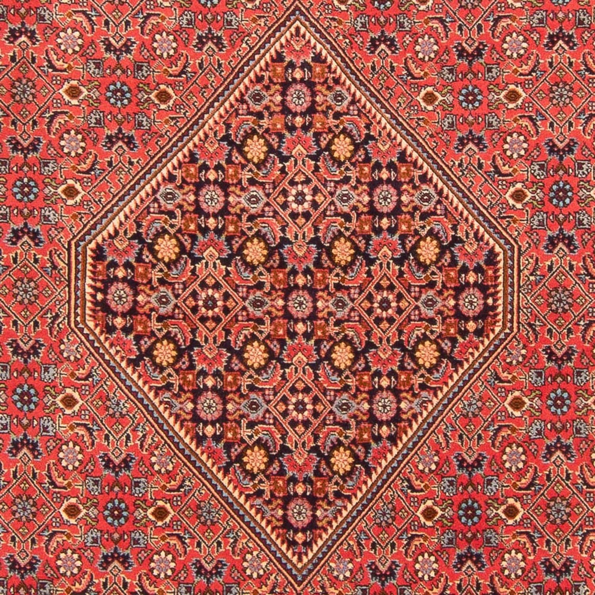 Perser Rug - Bidjar - 260 x 200 cm - red