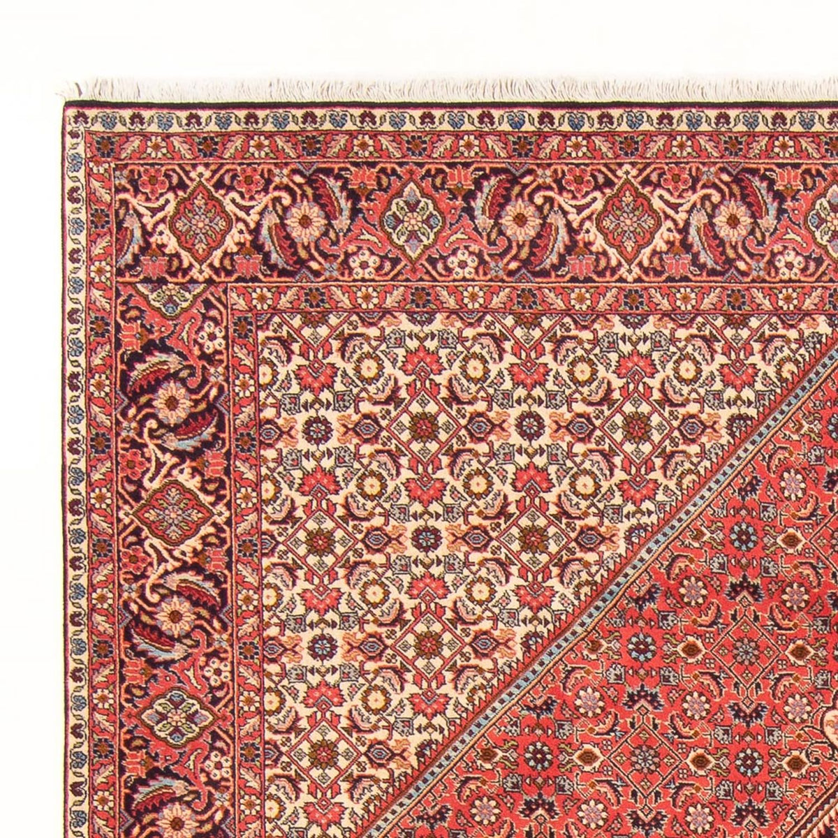 Perser Rug - Bidjar - 260 x 200 cm - red