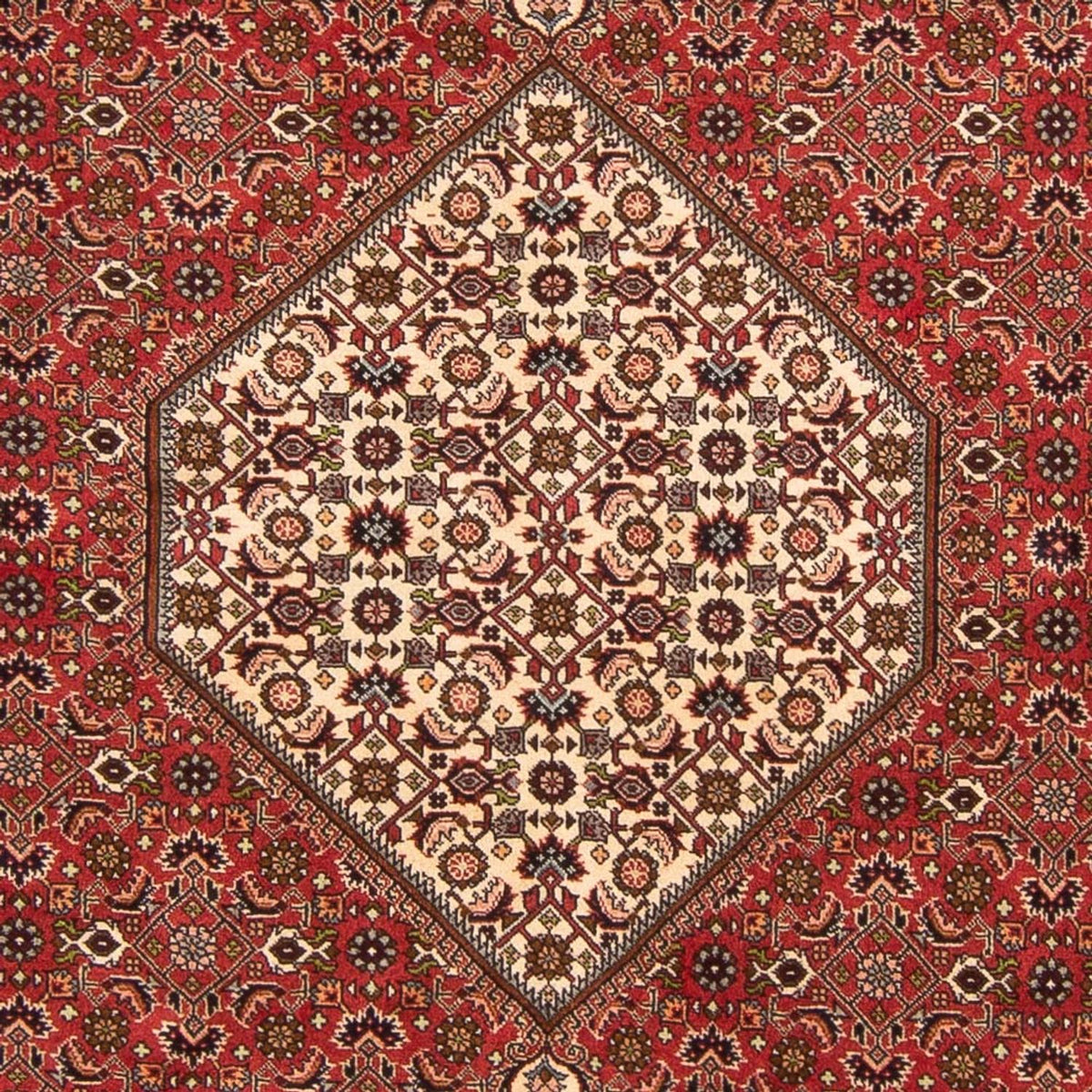 Perser Rug - Bidjar - 260 x 200 cm - red