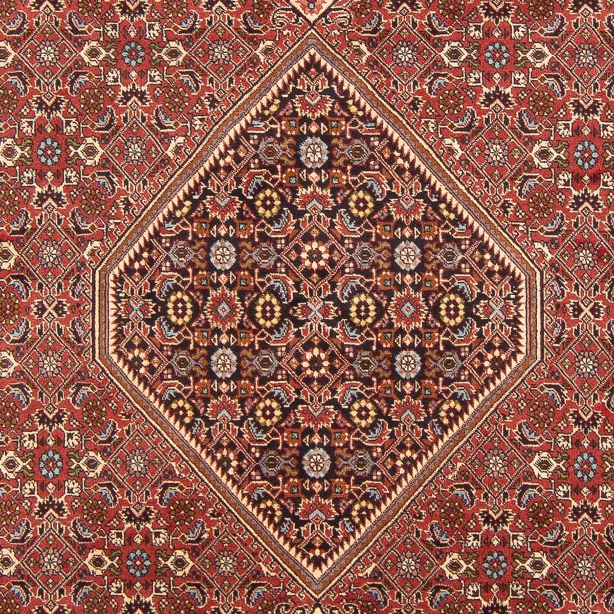 Perser Rug - Bidjar - 307 x 203 cm - red