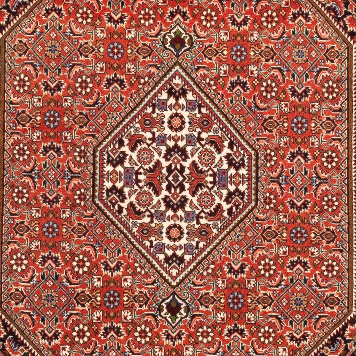 Perser Rug - Bidjar - 169 x 113 cm - red