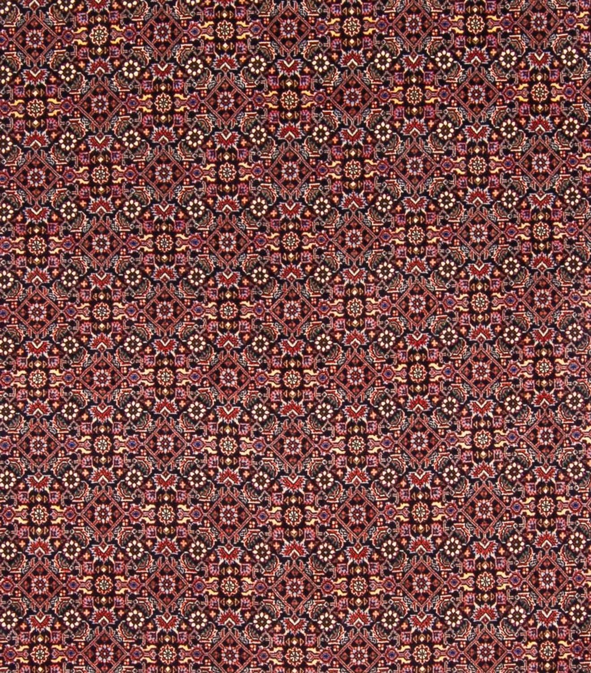 Perser Rug - Bidjar - 337 x 260 cm - dark blue