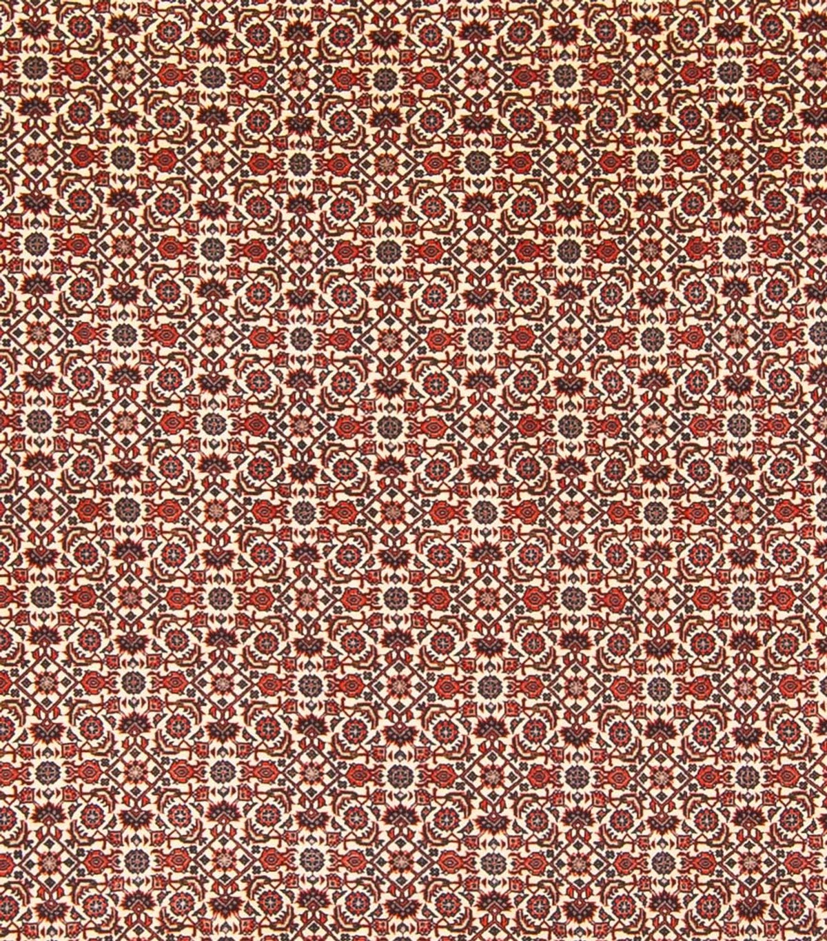 Perser Rug - Bidjar - 343 x 260 cm - cream