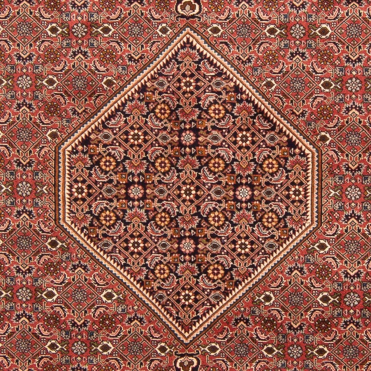 Perser Rug - Bidjar - 297 x 196 cm - red