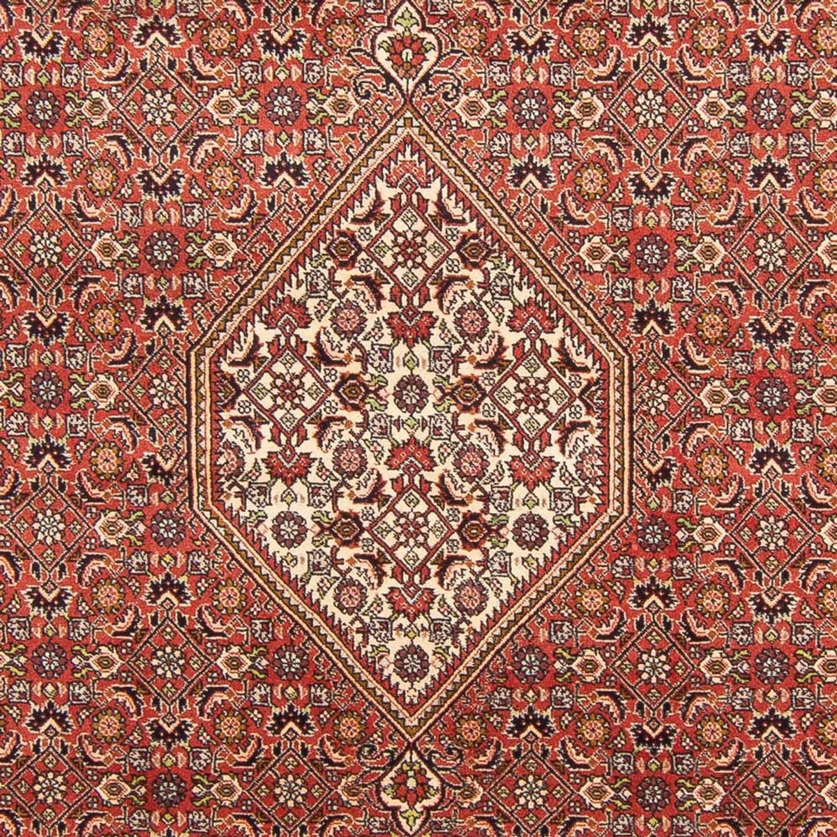 Perser Rug - Bidjar - 293 x 197 cm - red