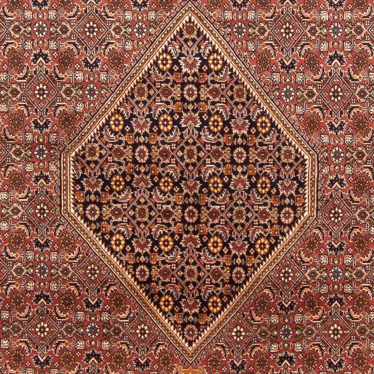 Perser Rug - Bidjar - 300 x 197 cm - red
