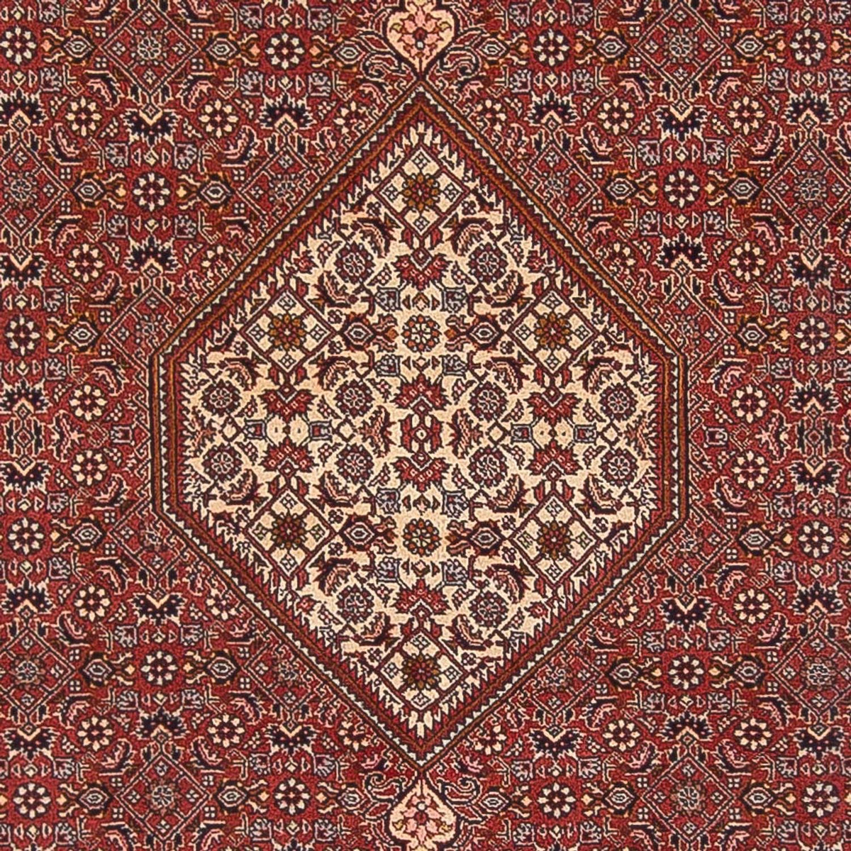 Perser Rug - Bidjar - 291 x 197 cm - red