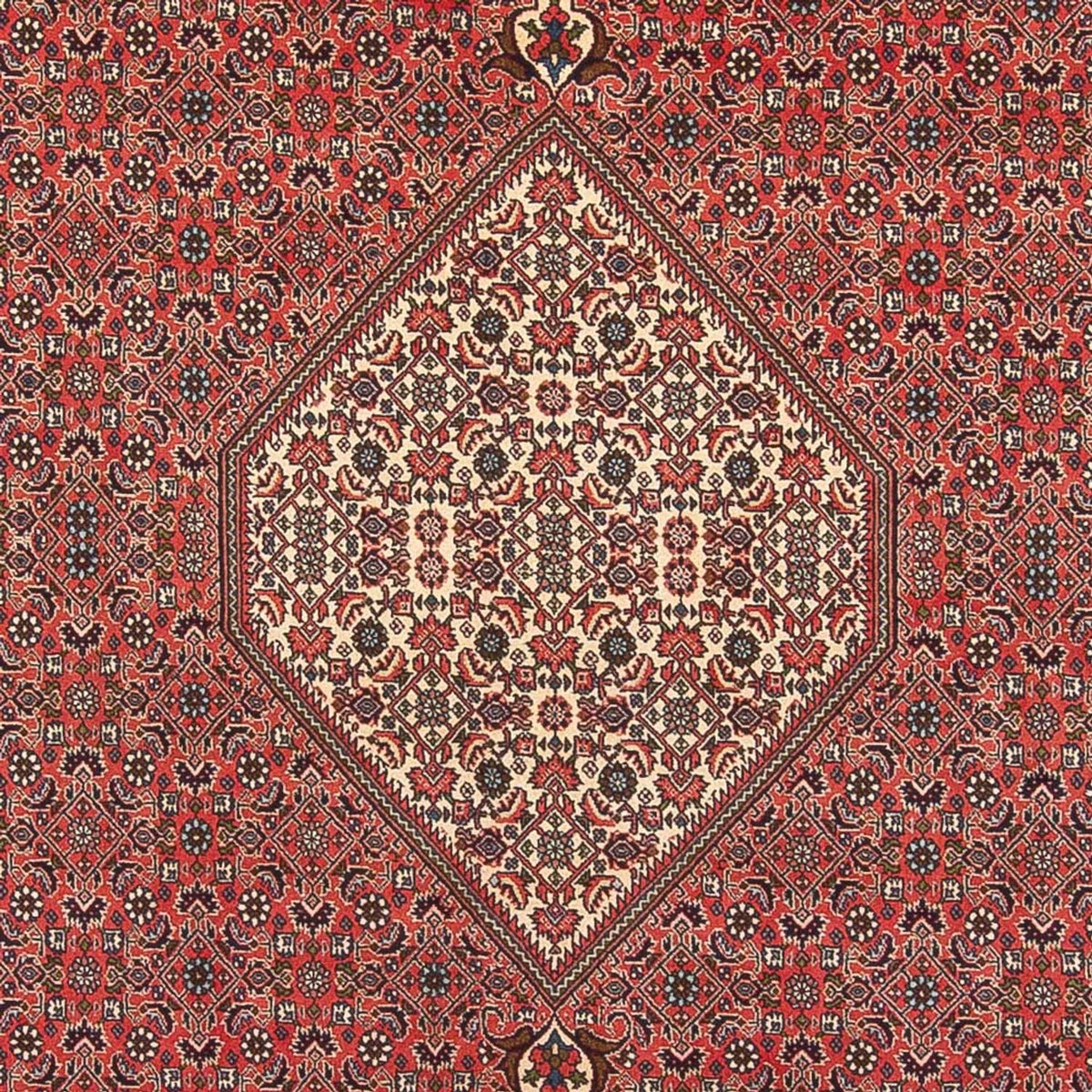 Perser Rug - Bidjar - 395 x 300 cm - light red
