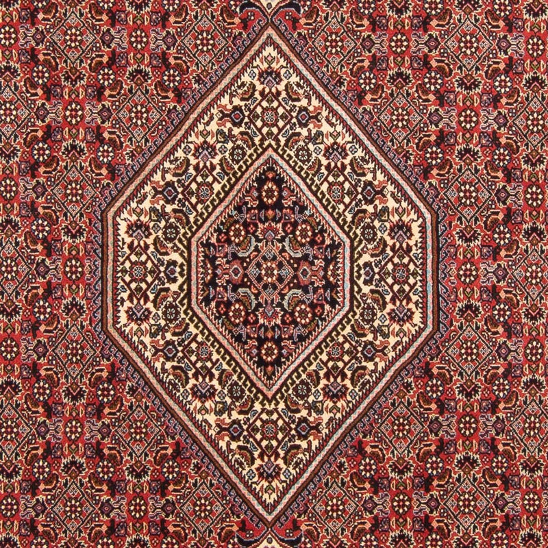 Perser Rug - Bidjar - 294 x 200 cm - red
