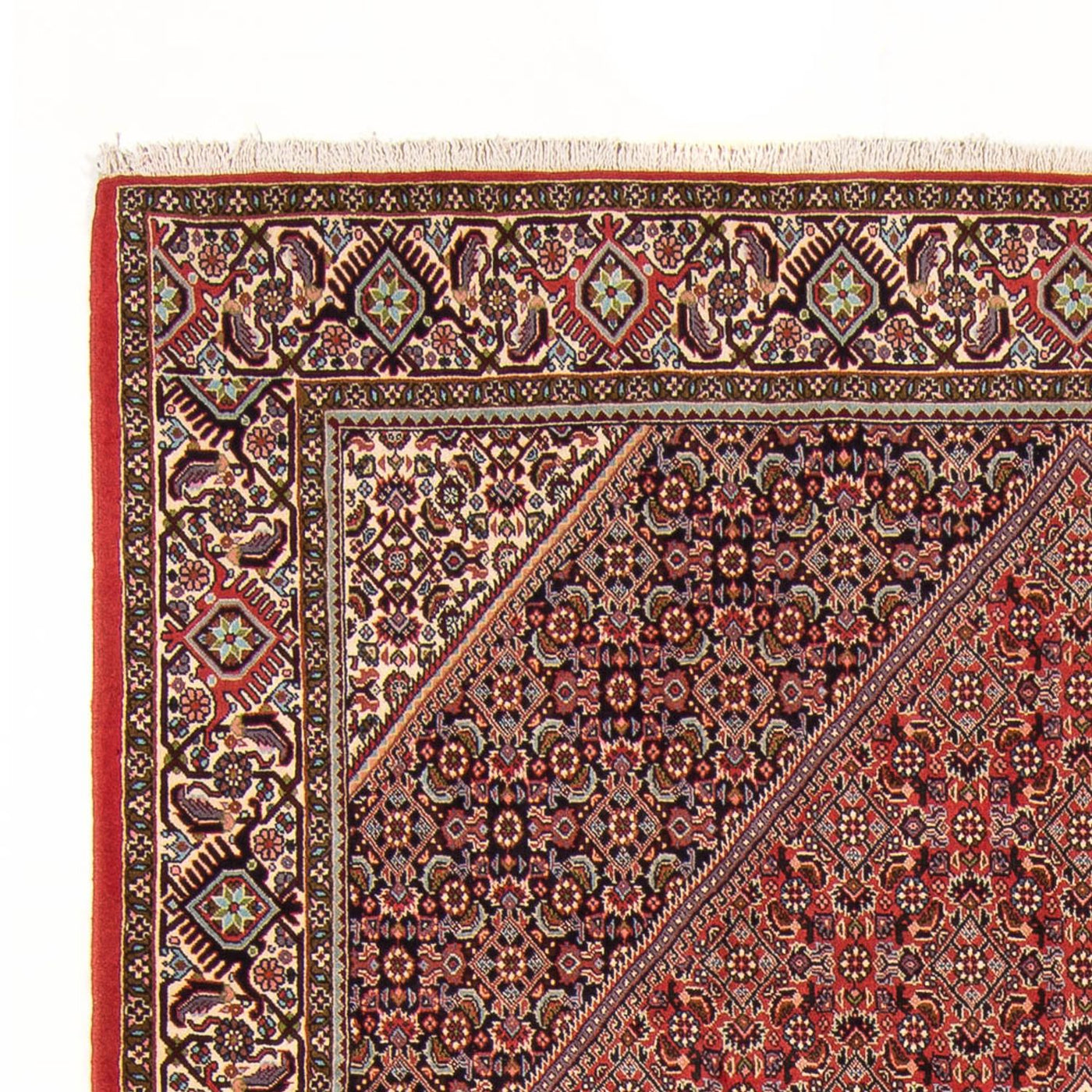 Bidjar - Bukan Rug 294x200cm - Persian Rugs
