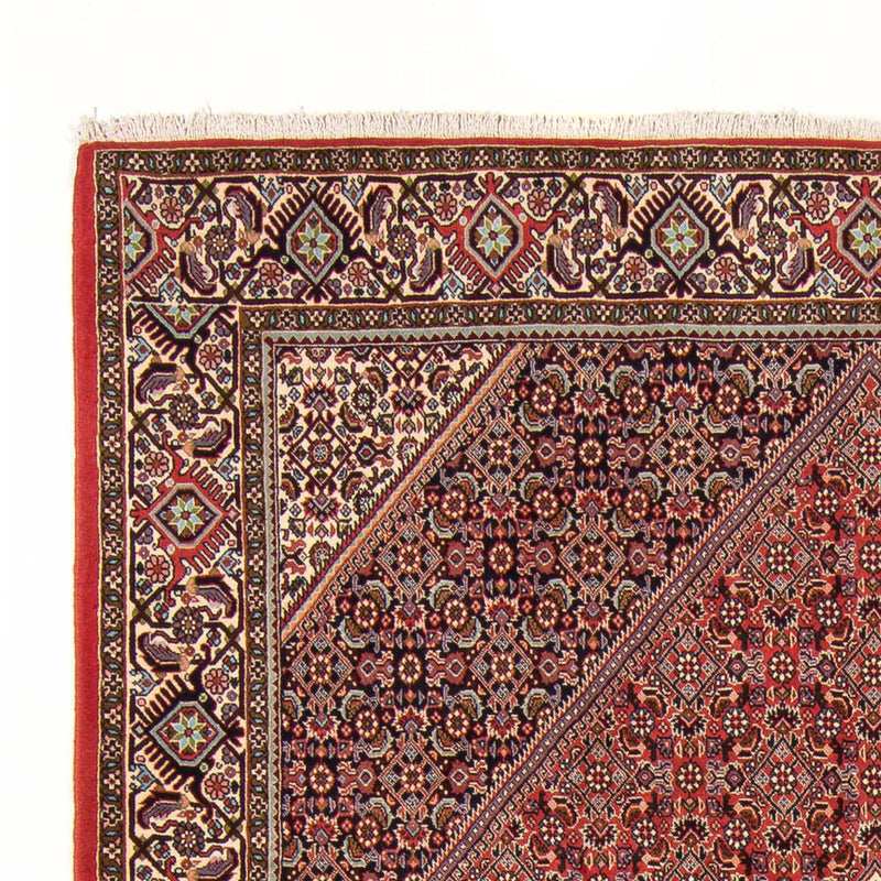 Perser Rug - Bidjar - 294 x 200 cm - red
