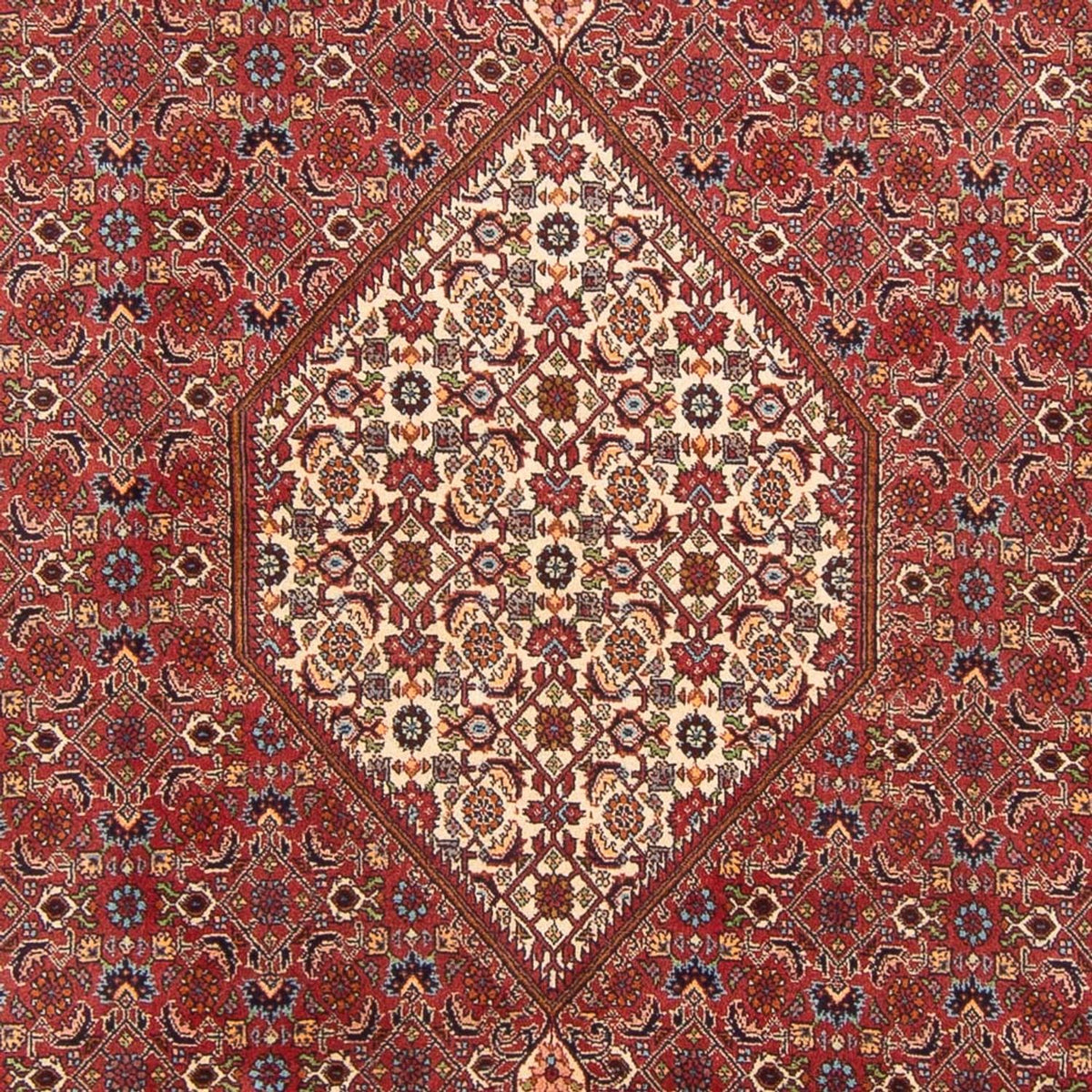 Perser Rug - Bidjar - 303 x 200 cm - red