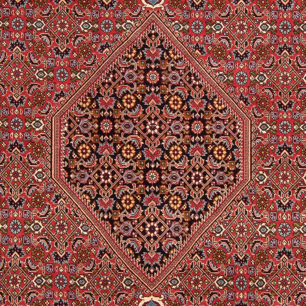 Perser Rug - Bidjar - 307 x 200 cm - red