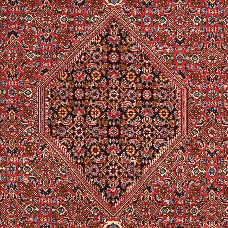 Perser Rug - Bidjar - 307 x 200 cm - red