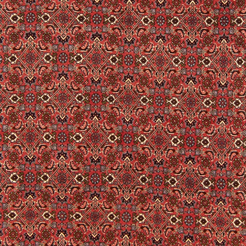 Perser Rug - Bidjar - 289 x 195 cm - red