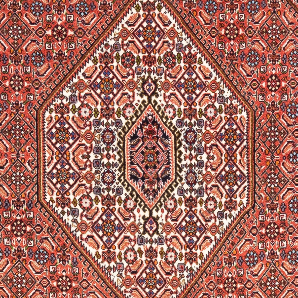 Perser Rug - Bidjar - 187 x 114 cm - red