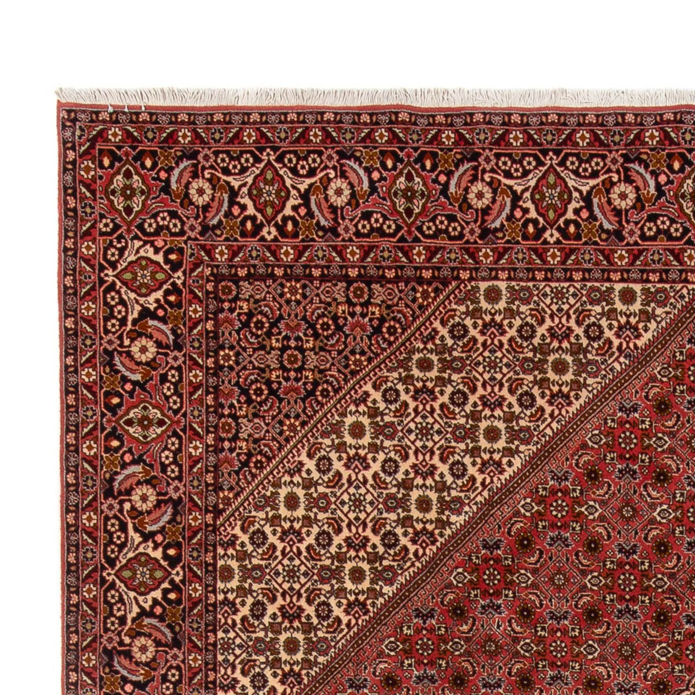 Bidjar - Bukan Rug 350x250cm - Persian Rugs