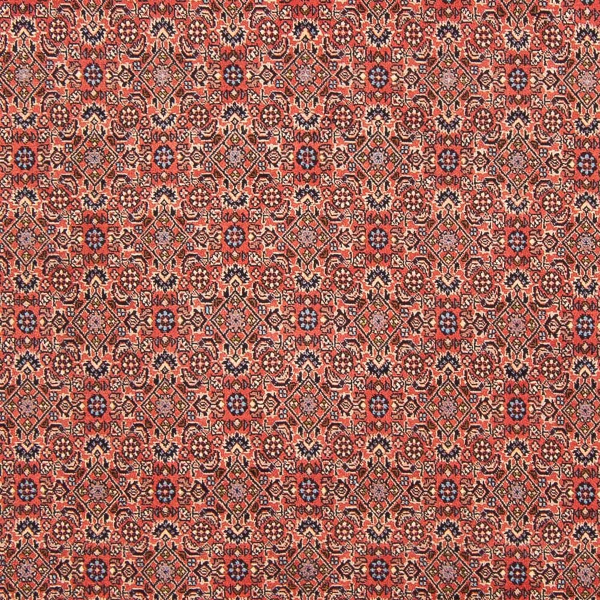 Perser Rug - Bidjar - 298 x 196 cm - red