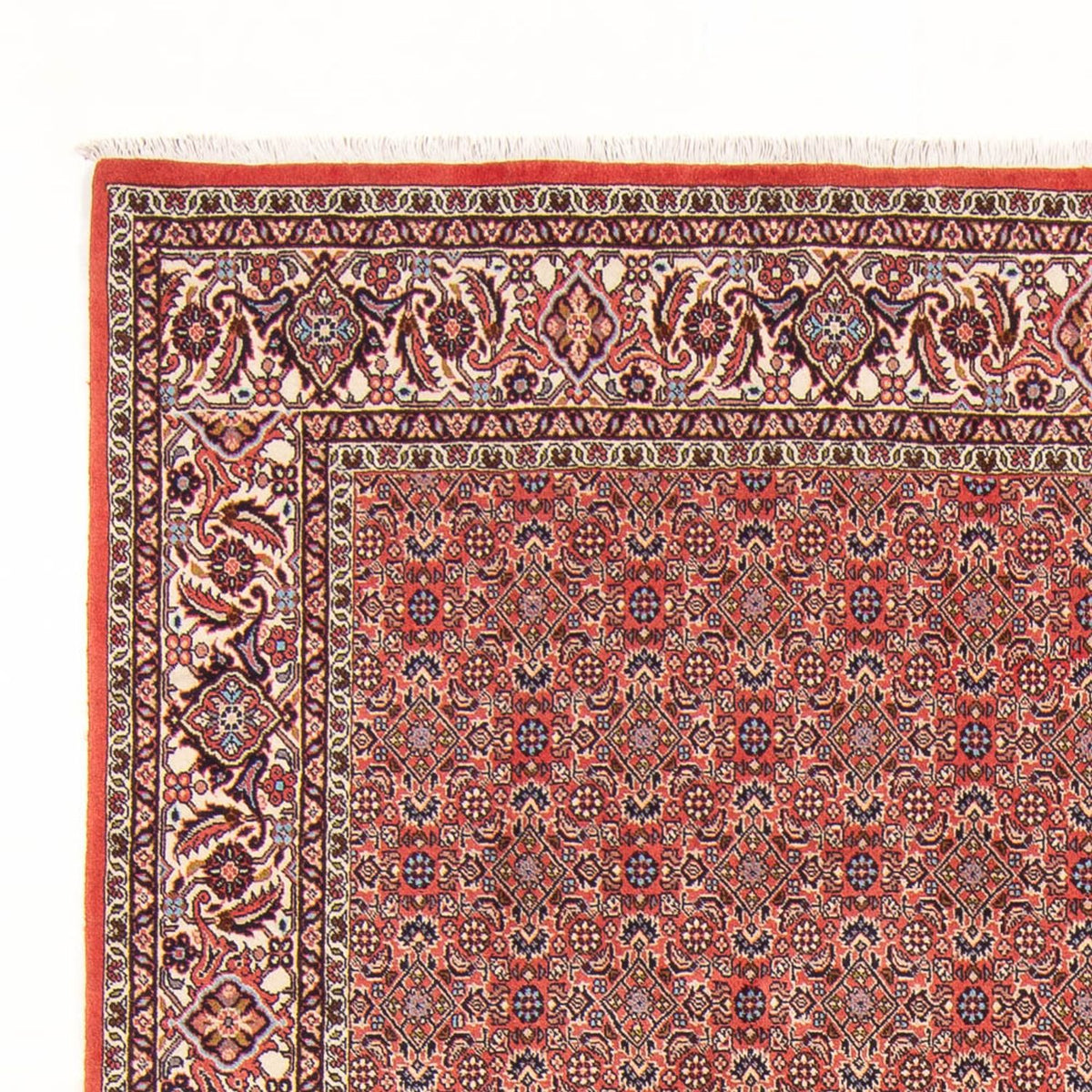 Bidjar - Bukan Rug 196x298cm - Persian Rugs