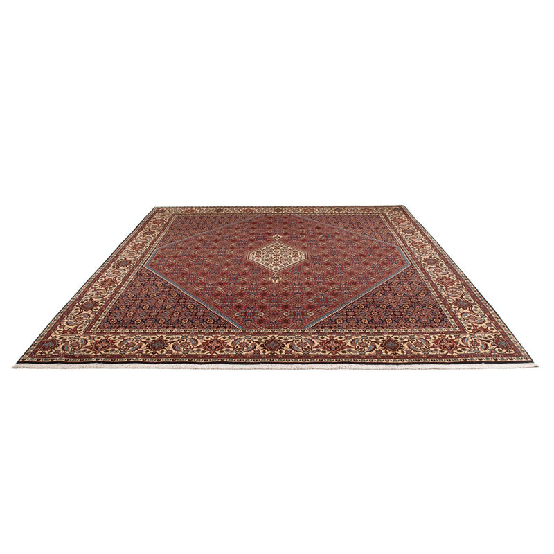 Bidjar - Bukan Teppich 294x253cm - Perserteppich