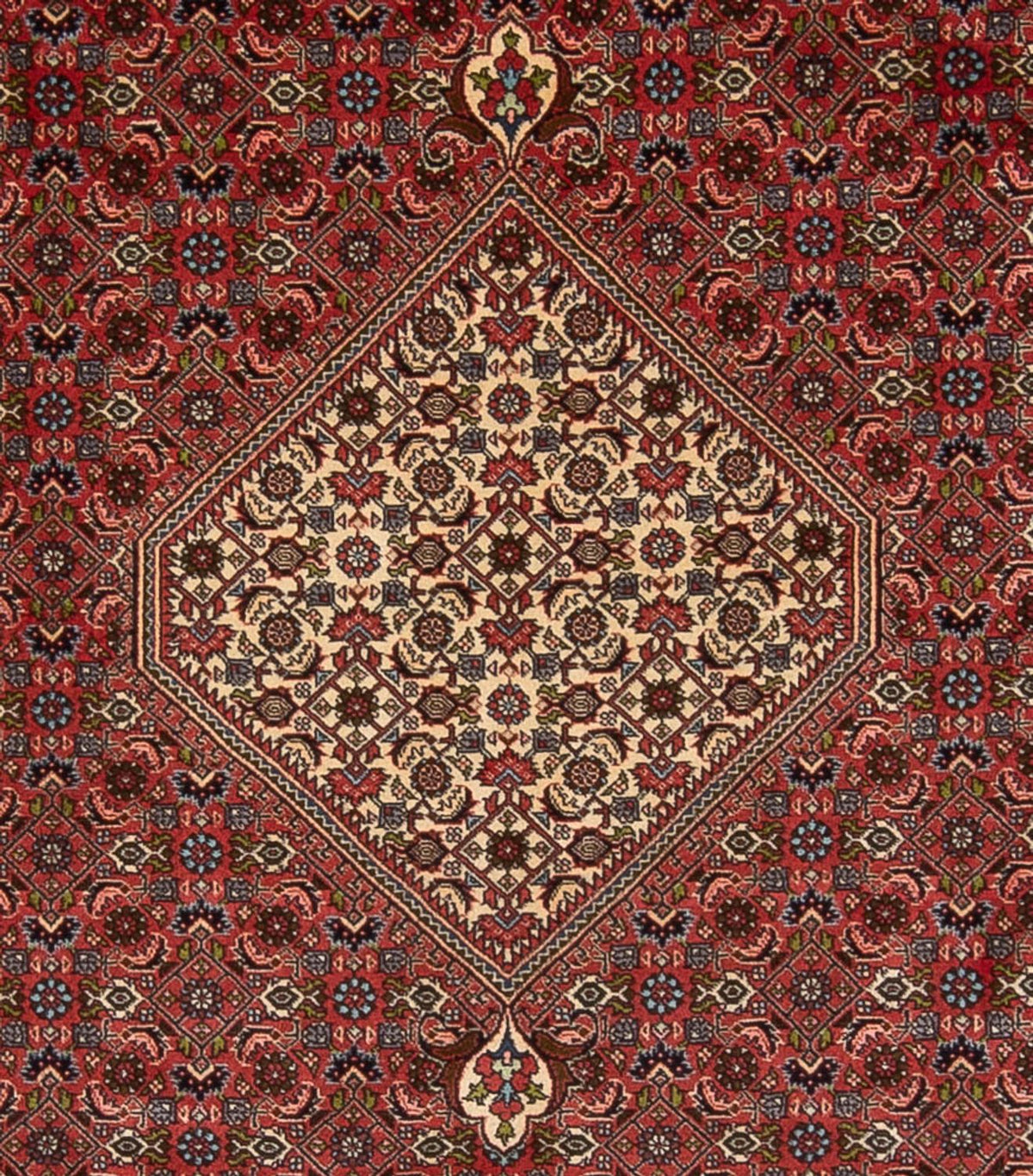 Perser Rug - Bidjar - 314 x 255 cm - dark red