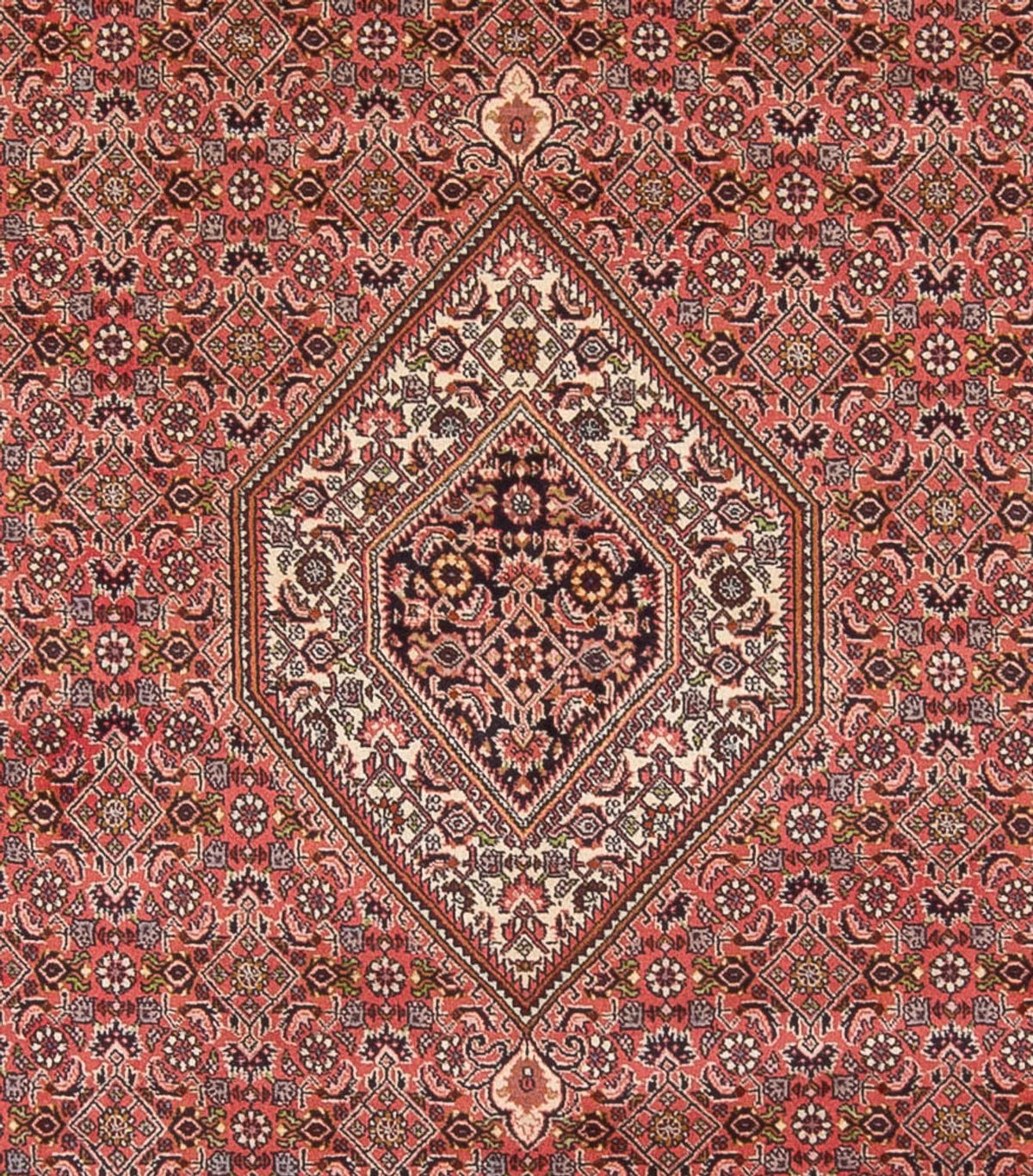 Perser Rug - Bidjar - 342 x 250 cm - dark red