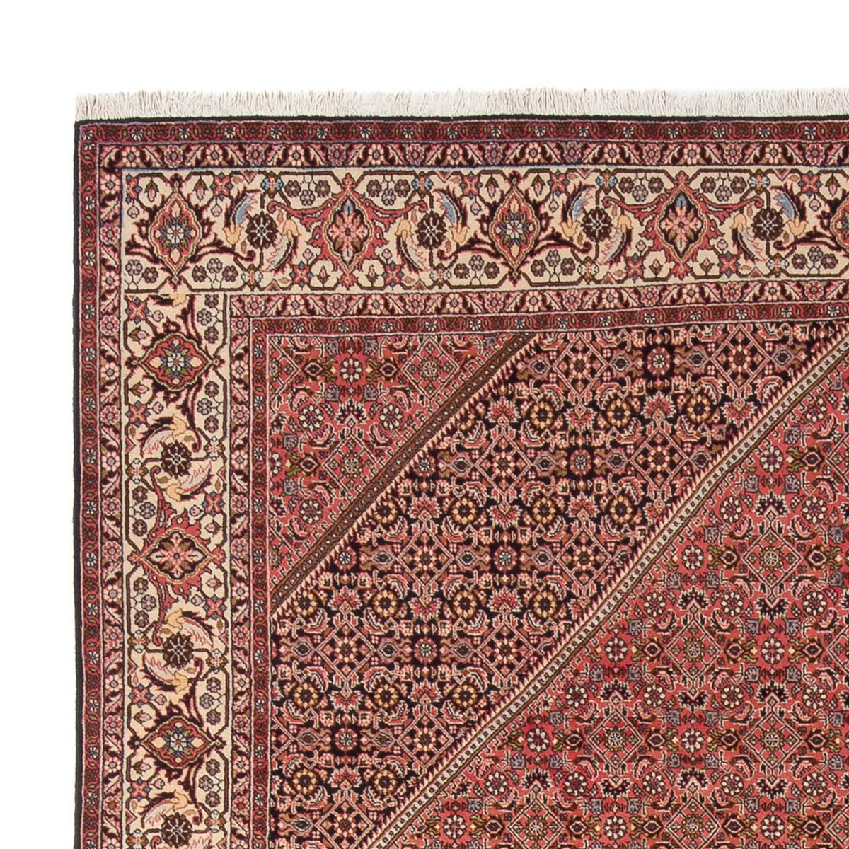 Bidjar - Bukan Rug 250x342cm - Persian Rugs