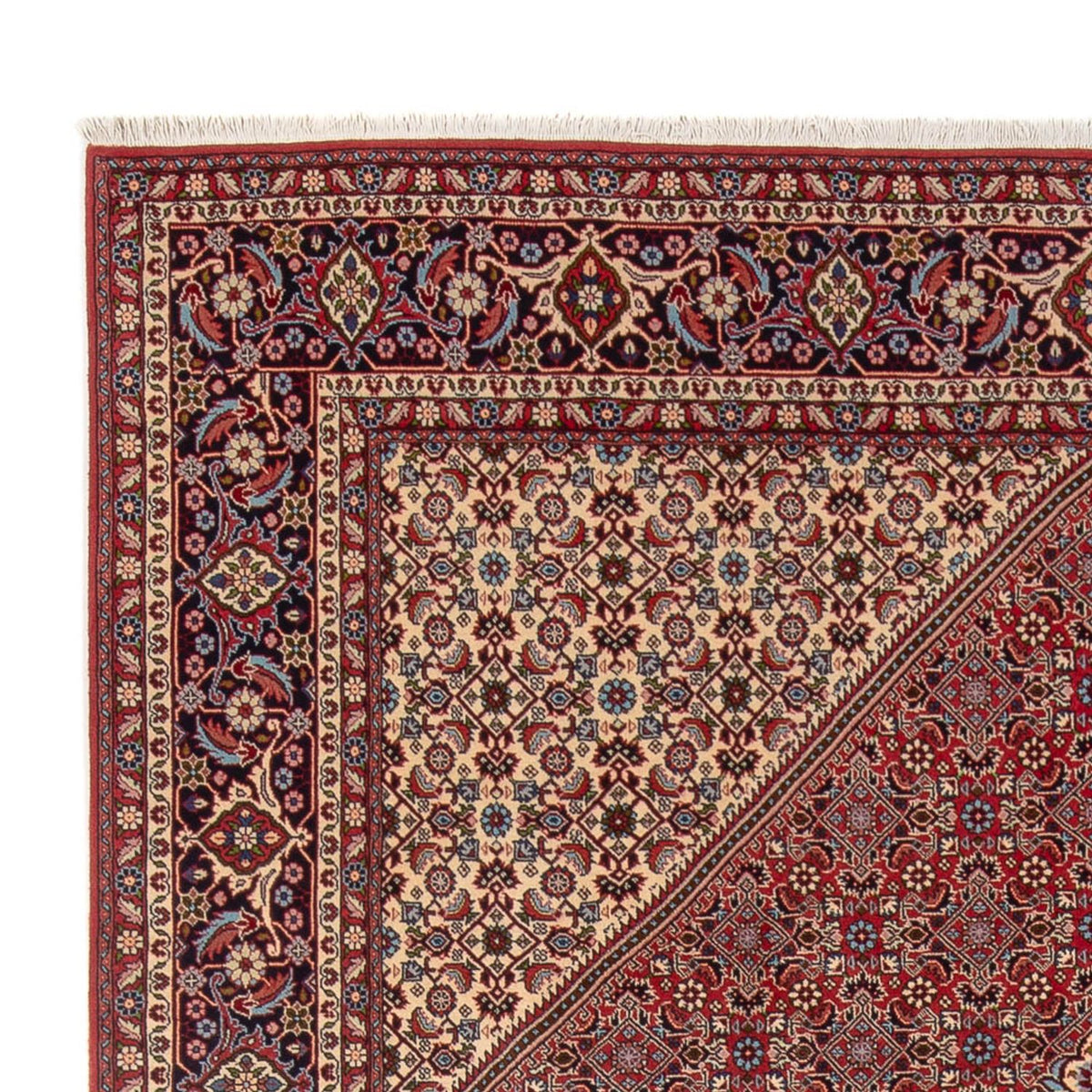 Bidjar - Bukan Rug 246x341cm - Persian Rugs