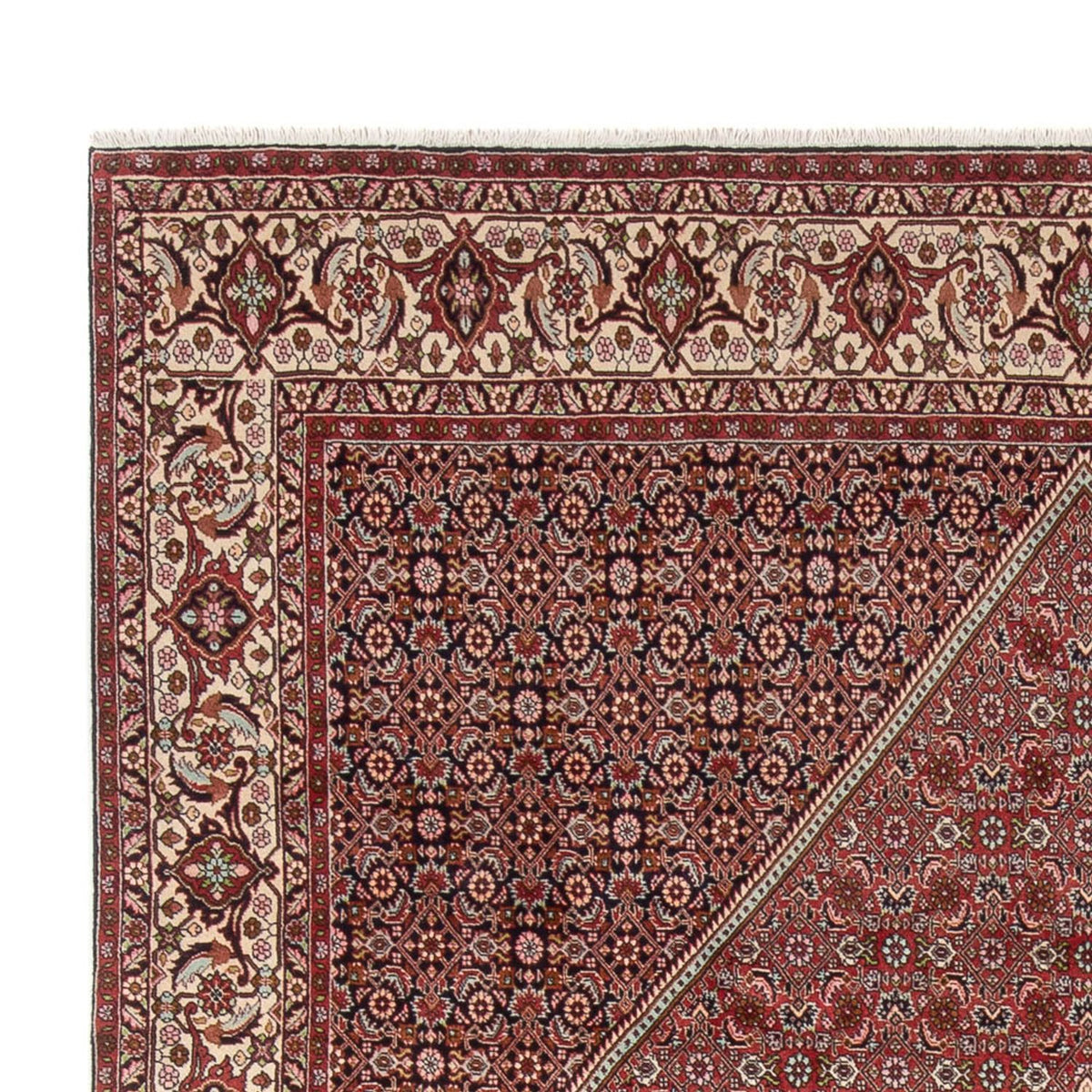 Bidjar - Bukan Rug 250x343cm - Persian Rugs